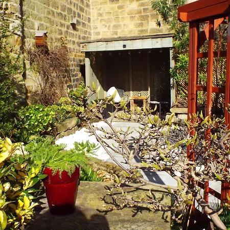Apartamento Rivulet *
