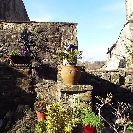 Apartament Rivulet *